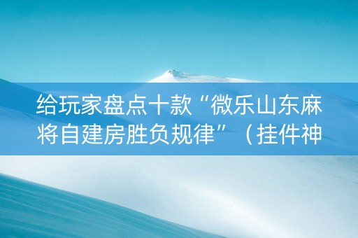 给玩家盘点十款“微乐山东麻将自建房胜负规律”（挂件神器)