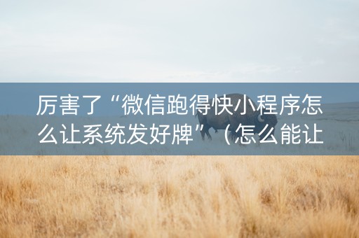 厉害了“微信跑得快小程序怎么让系统发好牌”（怎么能让牌好一点)