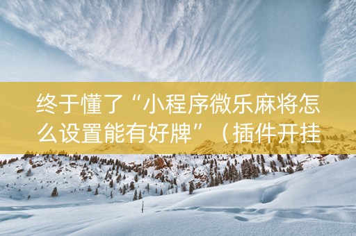 终于懂了“小程序微乐麻将怎么设置能有好牌”（插件开挂免费AI)