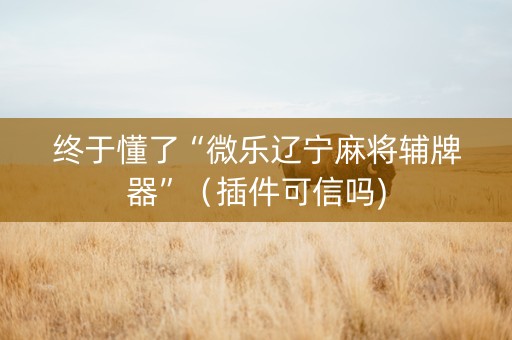 终于懂了“微乐辽宁麻将辅牌器”（插件可信吗)