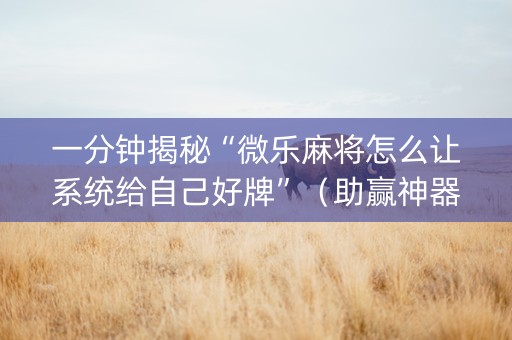 一分钟揭秘“微乐麻将怎么让系统给自己好牌”（助赢神器购买)
