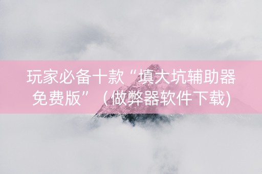 玩家必备十款“填大坑辅助器免费版”（做弊器软件下载)