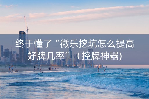 终于懂了“微乐挖坑怎么提高好牌几率”（控牌神器)