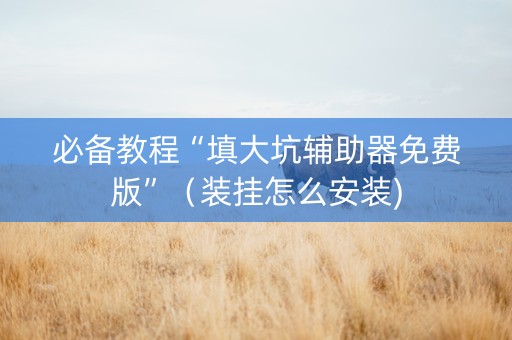 必备教程“填大坑辅助器免费版”（装挂怎么安装)