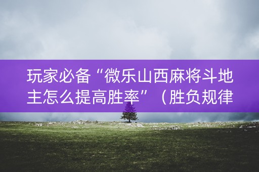 玩家必备“微乐山西麻将斗地主怎么提高胜率”（胜负规律拿好牌)
