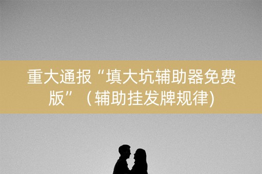 重大通报“填大坑辅助器免费版”（辅助挂发牌规律)