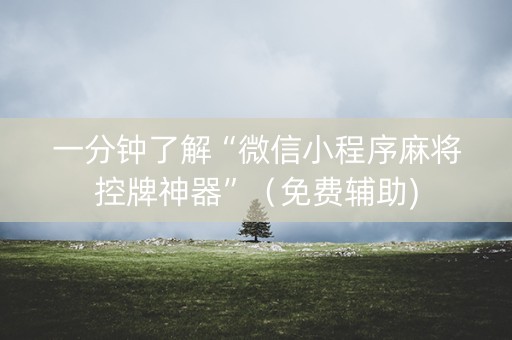 一分钟了解“微信小程序麻将控牌神器”（免费辅助)