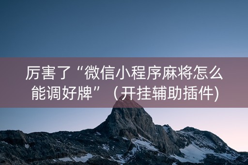厉害了“微信小程序麻将怎么能调好牌”（开挂辅助插件)