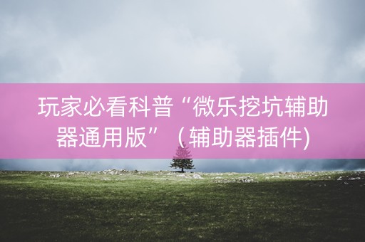 玩家必看科普“微乐挖坑辅助器通用版”（辅助器插件)