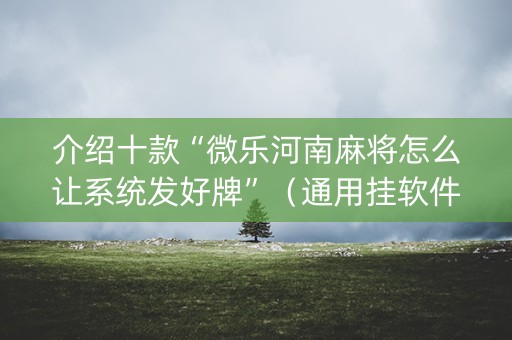 介绍十款“微乐河南麻将怎么让系统发好牌”（通用挂软件多少钱)