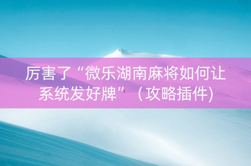 厉害了“微乐湖南麻将如何让系统发好牌”（攻略插件)