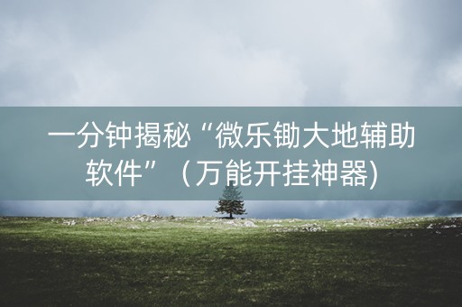 一分钟揭秘“微乐锄大地辅助软件”（万能开挂神器)