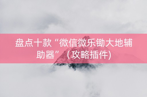 盘点十款“微信微乐锄大地辅助器”（攻略插件)