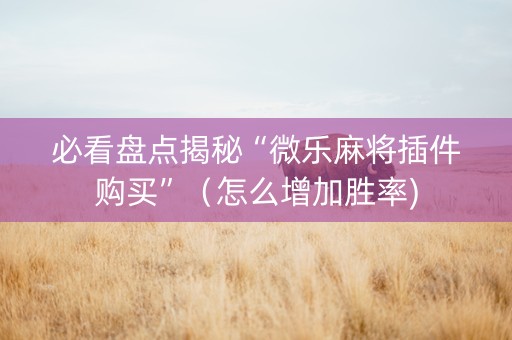 必看盘点揭秘“微乐麻将插件购买”（怎么增加胜率)
