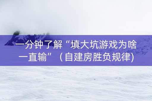 一分钟了解“填大坑游戏为啥一直输”（自建房胜负规律)