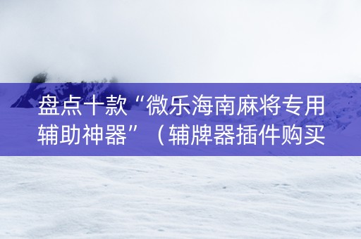 盘点十款“微乐海南麻将专用辅助神器”（辅牌器插件购买)