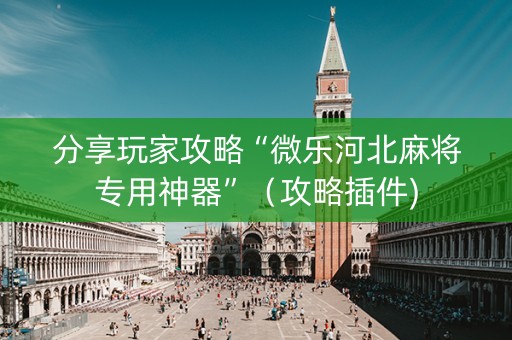 分享玩家攻略“微乐河北麻将专用神器”（攻略插件)