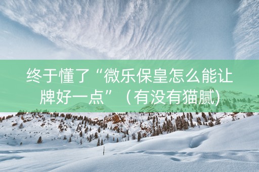 终于懂了“微乐保皇怎么能让牌好一点”（有没有猫腻)