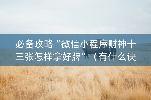 必备攻略“微信小程序财神十三张怎样拿好牌”（有什么诀窍)