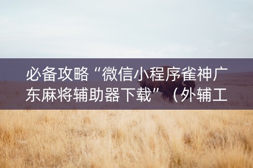 必备攻略“微信小程序雀神广东麻将辅助器下载”（外辅工具)