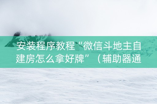 安装程序教程“微信斗地主自建房怎么拿好牌”（辅助器通用版)