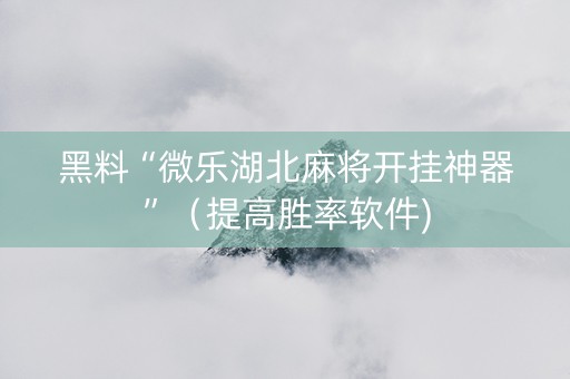 黑料“微乐湖北麻将开挂神器”（提高胜率软件)