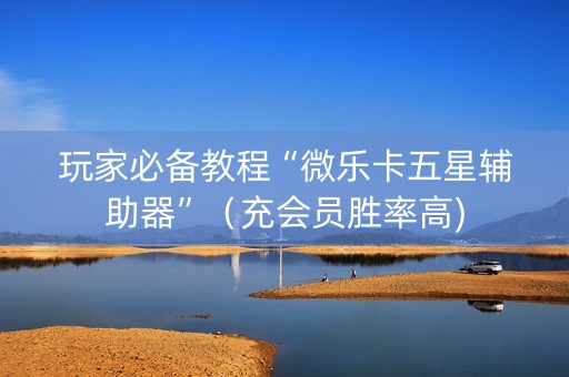 玩家必备教程“微乐卡五星辅助器”（充会员胜率高)