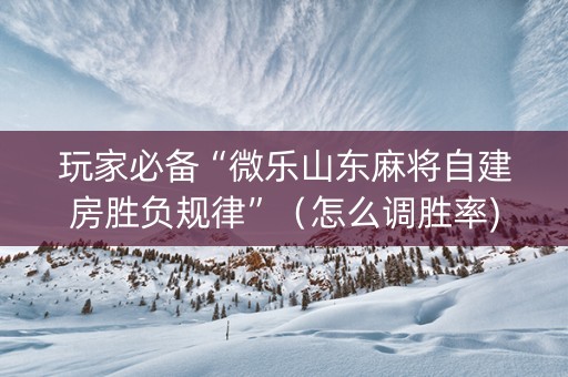 玩家必备“微乐山东麻将自建房胜负规律”（怎么调胜率)
