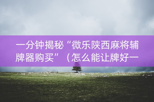 一分钟揭秘“微乐陕西麻将辅牌器购买”（怎么能让牌好一点)