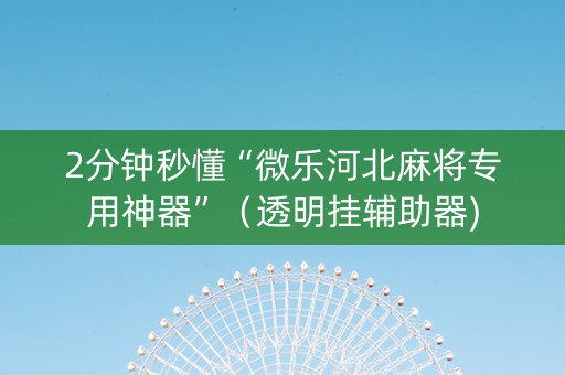 2分钟秒懂“微乐河北麻将专用神器”（透明挂辅助器)