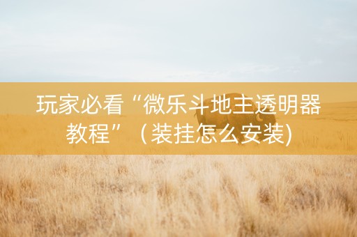 玩家必看“微乐斗地主透明器教程”（装挂怎么安装)