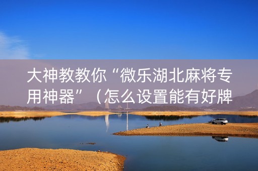 大神教教你“微乐湖北麻将专用神器”（怎么设置能有好牌)