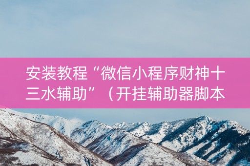 安装教程“微信小程序财神十三水辅助”（开挂辅助器脚本)