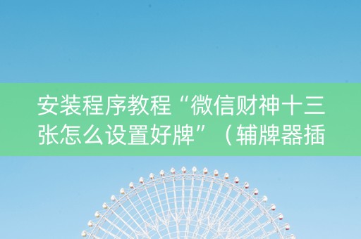 安装程序教程“微信财神十三张怎么设置好牌”（辅牌器插件购买)