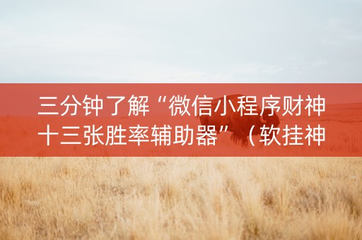 三分钟了解“微信小程序财神十三张胜率辅助器”（软挂神器)