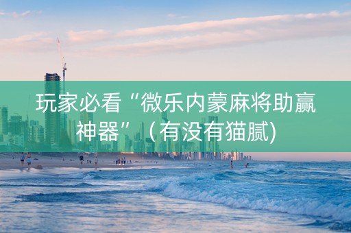 玩家必看“微乐内蒙麻将助赢神器”（有没有猫腻)