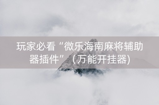 玩家必看“微乐海南麻将辅助器插件”（万能开挂器)