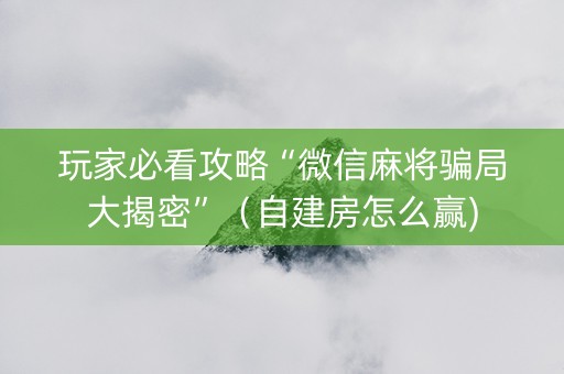 玩家必看攻略“微信麻将骗局大揭密”（自建房怎么赢)