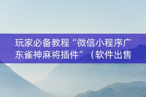 玩家必备教程“微信小程序广东雀神麻将插件”（软件出售)