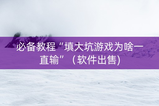 必备教程“填大坑游戏为啥一直输”（软件出售)