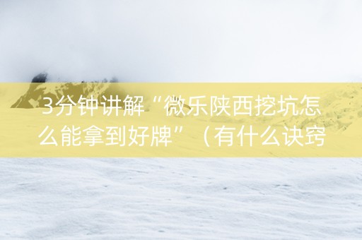 3分钟讲解“微乐陕西挖坑怎么能拿到好牌”（有什么诀窍)