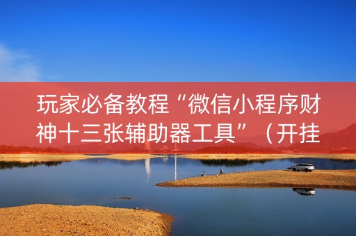 玩家必备教程“微信小程序财神十三张辅助器工具”（开挂辅助器脚本)