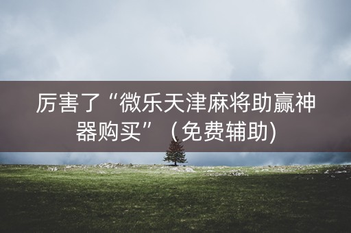 厉害了“微乐天津麻将助赢神器购买”（免费辅助)