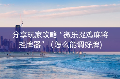分享玩家攻略“微乐捉鸡麻将控牌器”（怎么能调好牌)