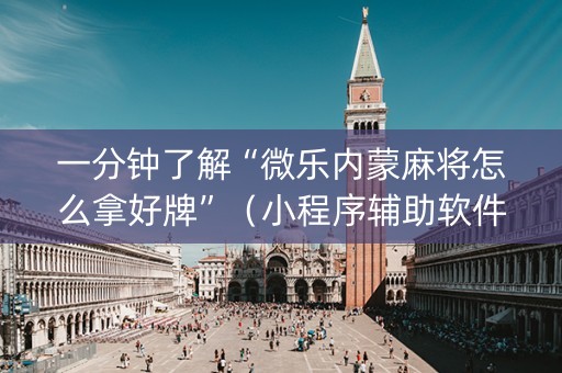 一分钟了解“微乐内蒙麻将怎么拿好牌”（小程序辅助软件)