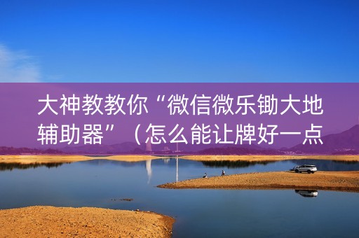 大神教教你“微信微乐锄大地辅助器”（怎么能让牌好一点)