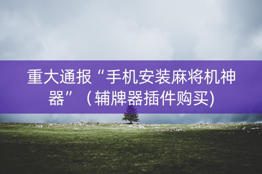 重大通报“手机安装麻将机神器”（辅牌器插件购买)