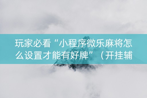 玩家必看“小程序微乐麻将怎么设置才能有好牌”（开挂辅助脚本)