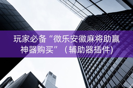 玩家必备“微乐安徽麻将助赢神器购买”（辅助器插件)