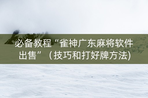 必备教程“雀神广东麻将软件出售”（技巧和打好牌方法)